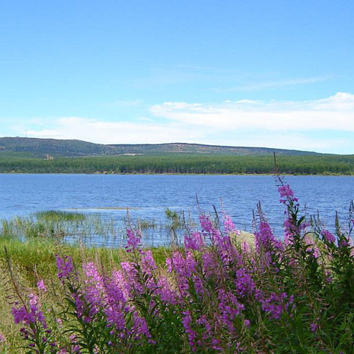 Le gîte Lou Saltret en Lozère est situé à quelques minutes du lac de Charpal