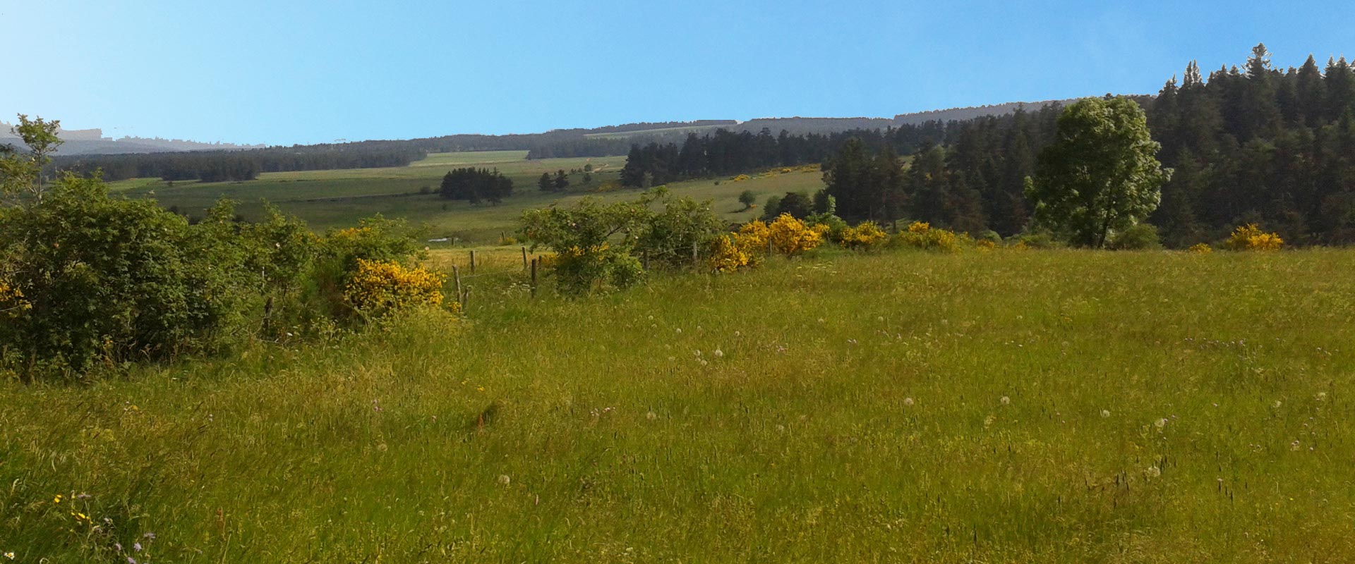 Les activités randonnées à proximité du gîte Lou Saltret en Lozère