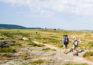 Randonnée en Lozère à proximité du gîte Lou Saltret en région Occitanie